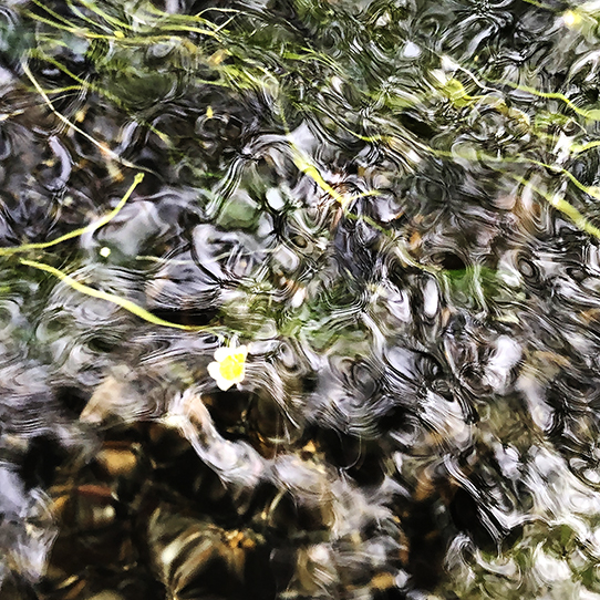 夏の終りに・・・